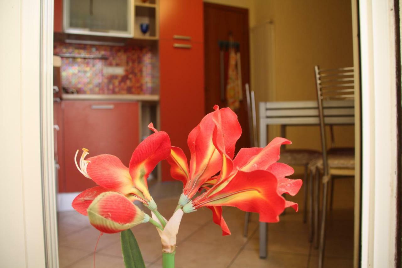 Pisa Town Acomodação com café da manhã Exterior foto